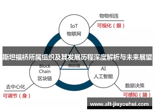 斯坦福桥所属组织及其发展历程深度解析与未来展望